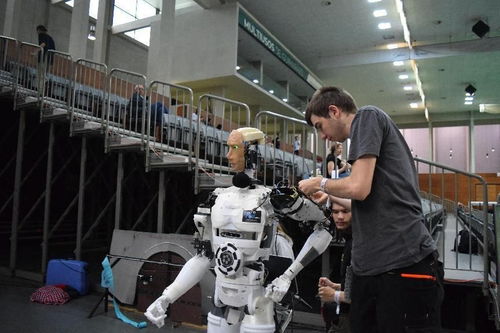 計算機視覺 模擬人類視覺系統實現圖像識別的技術與信息服務